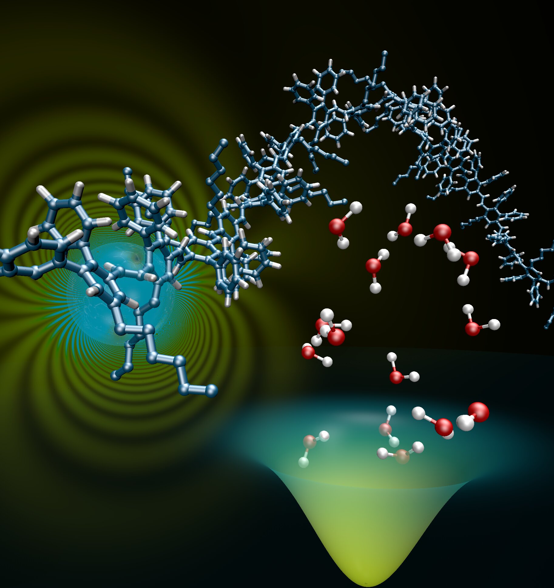 Hole Trap in Organic Semiconductors